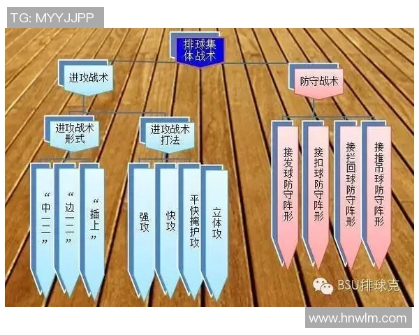 南京排球队中路突破战术解析与实战应用探讨