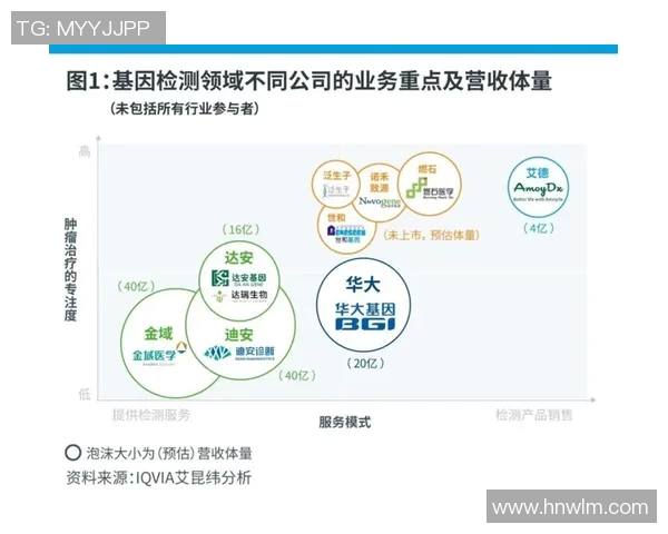 南京极限运动队的灵活性研究与发展趋势分析