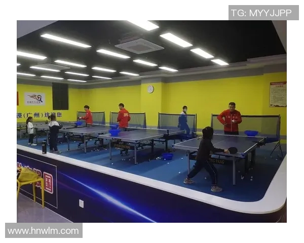 从零起步乒乓球技巧全解析助你快速提升个人能力