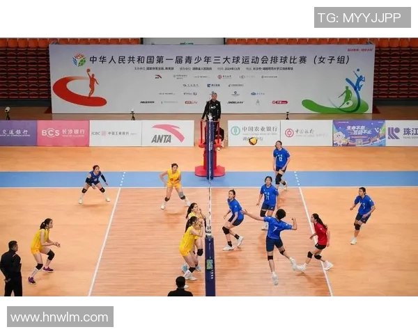 南京排球队的奋斗与荣耀：一段不平凡的排球纪实之旅