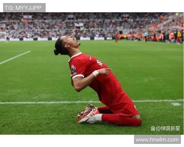 努涅斯在赛场上的崛起与挑战解析，如何成为足球界的新星