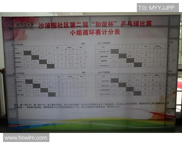 杨强独家分享乒乓球技巧与心得助你提升球技的秘密秘籍